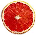 Grapefruit