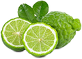 Bergamot