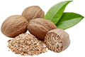 Nutmeg