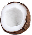 Coconut