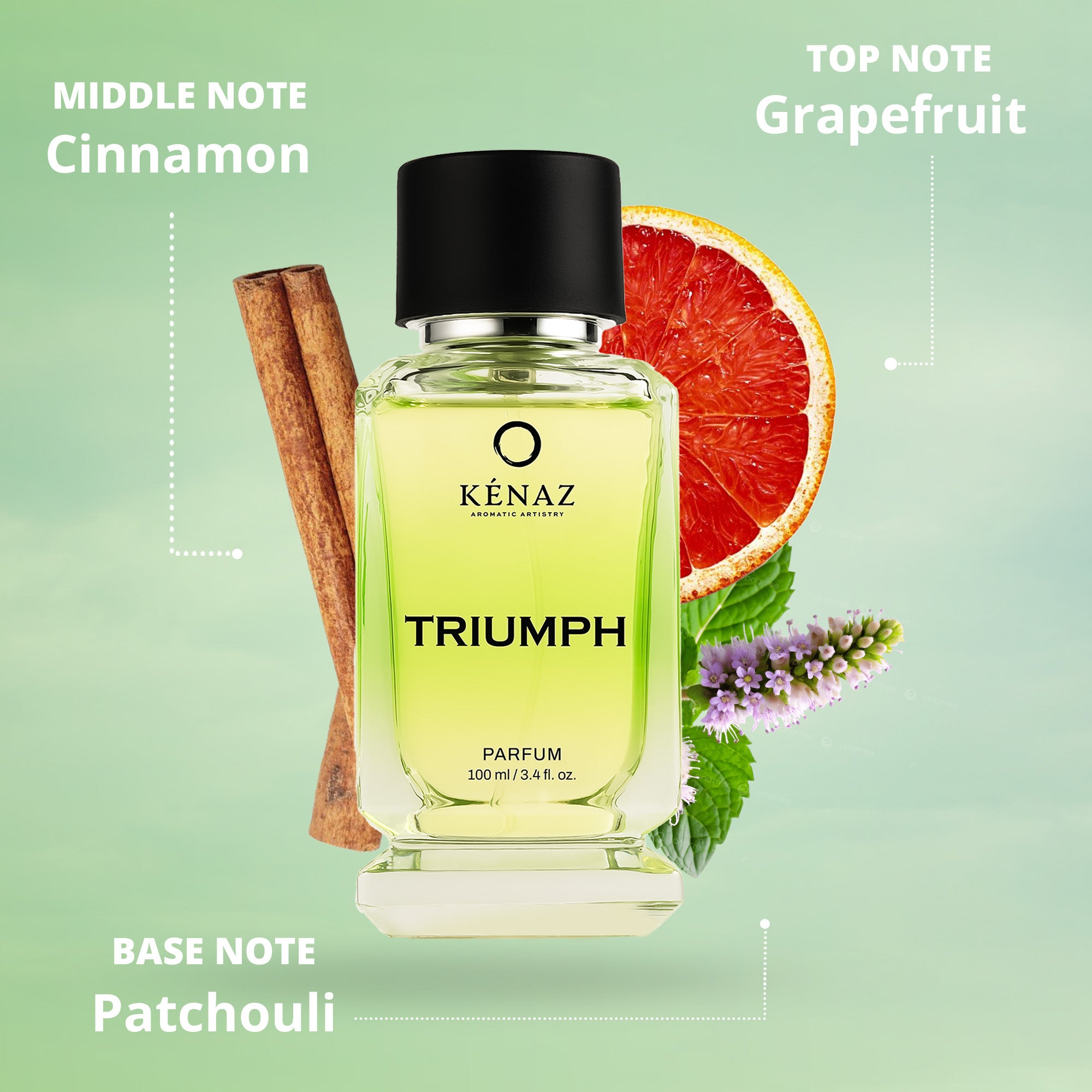 TRIUMPH - 100ml