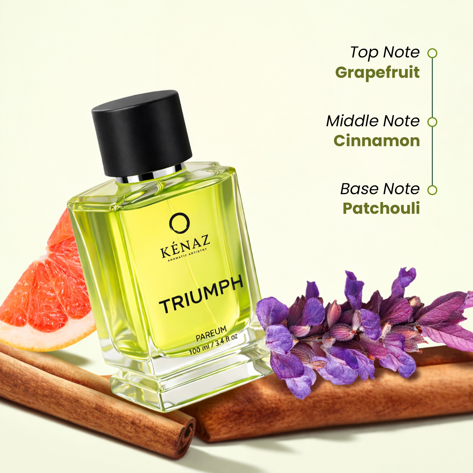 TRIUMPH Men - 100ml