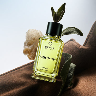 TRIUMPH Men - 100ml