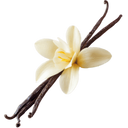 Vanilla