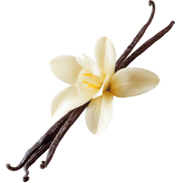 Vanilla