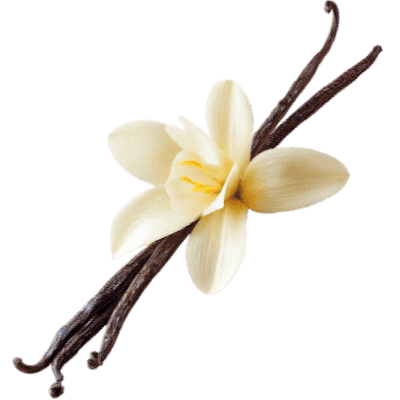 Vanilla