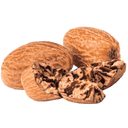 Nutmeg