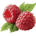 Raspberry