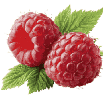 Raspberry
