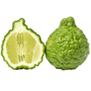 Bergamot