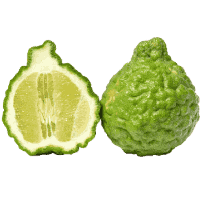 Bergamot