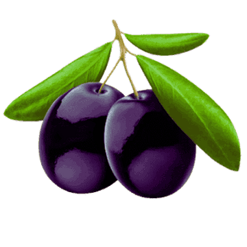 Black Currant