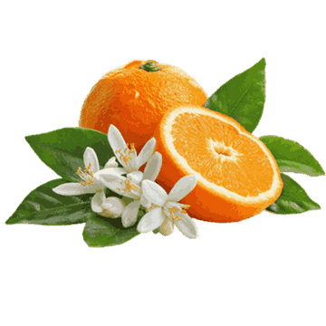 Orange blossom