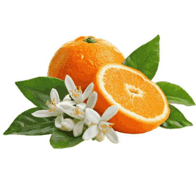 Orange blossom