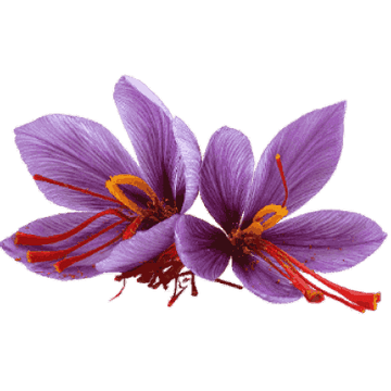 Saffron