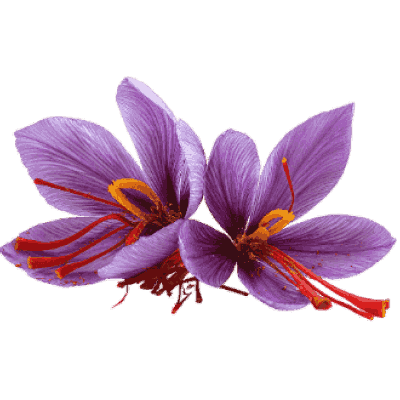 Saffron